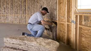 Best Crawl Space Insulation  in USA